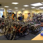 Winkel 2007